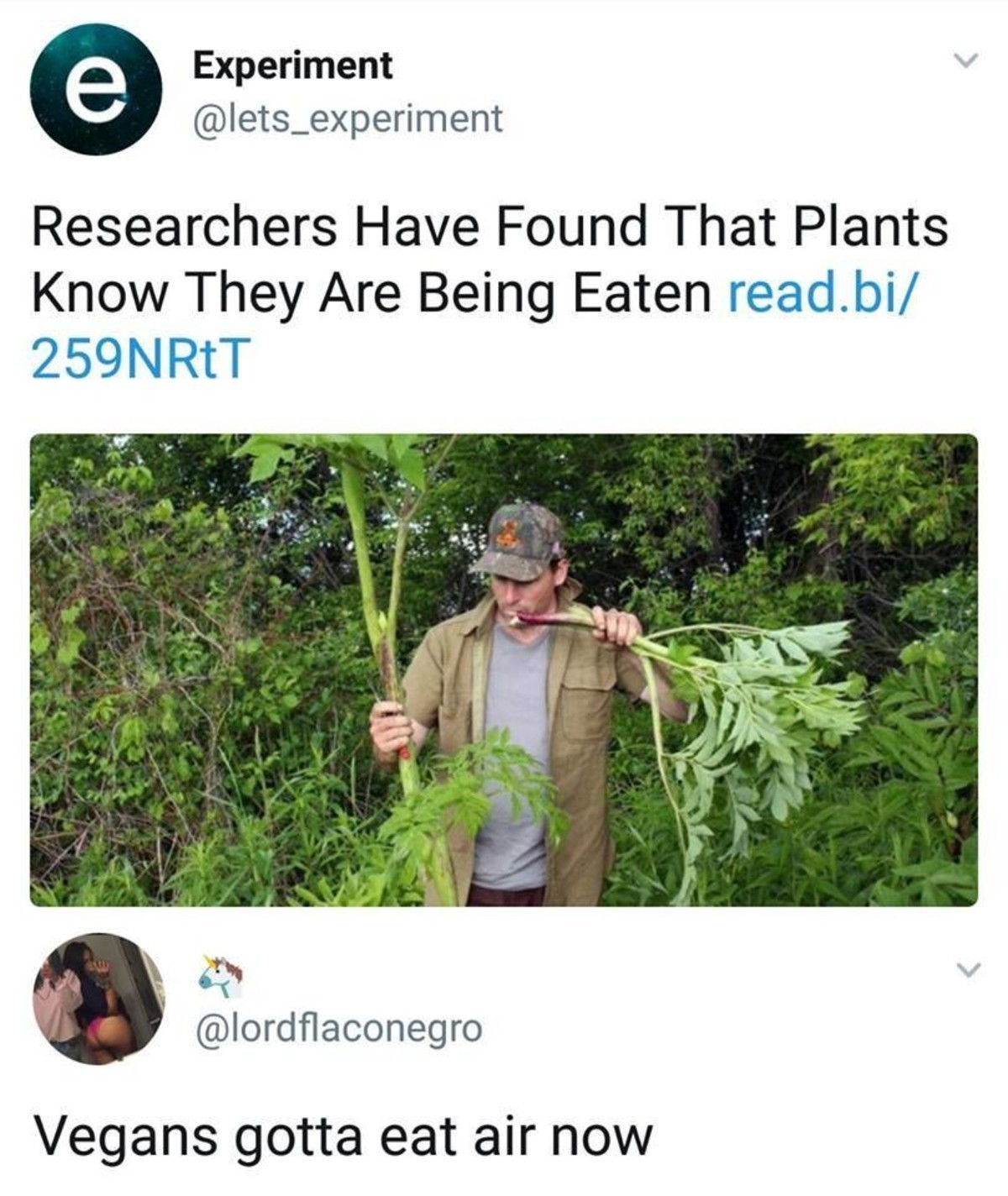 Fucking vegans - meme