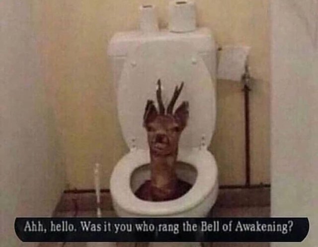 Was it you who rang the Bell of Awakening? - meme