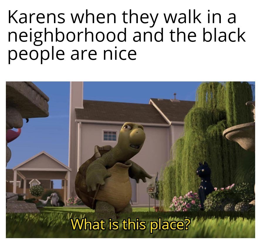 For the Karens out there - meme