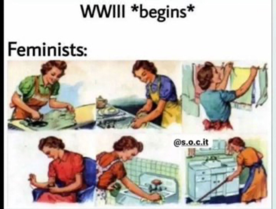 le feminists…. not french lol - meme
