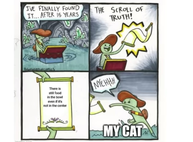 why do cats be like tho?? - meme