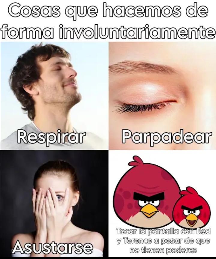 Ajuniga - meme