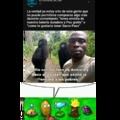 commented item thumbnail