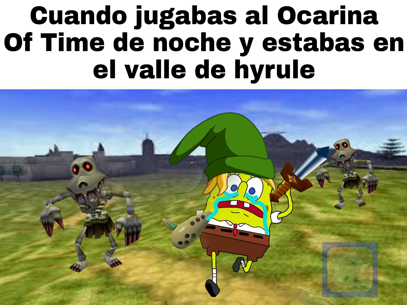 Ocarina - meme