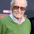 Stanley Martin Lieber, A.K.A Stan Lee died exactly a year ago today.