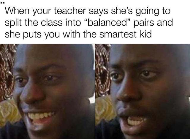 When your teacher says she's going to split the class into balanced pairs and she puts you with the smartest kid - meme