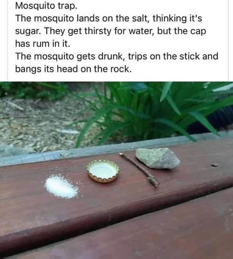 Surreal mosquito trap - meme