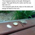 Surreal mosquito trap