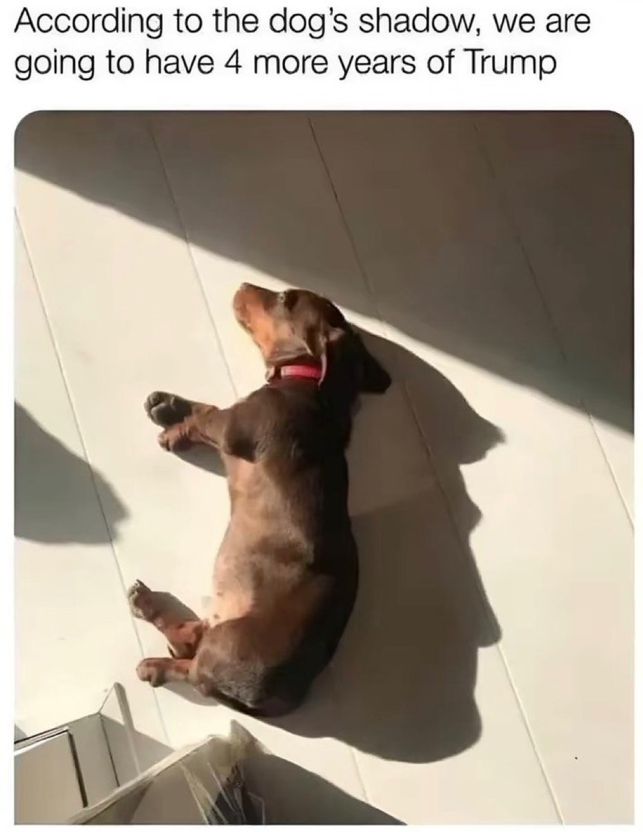 The DOGGO hath predicted - meme
