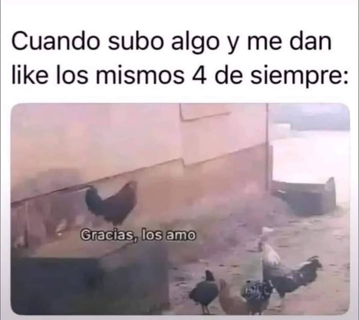 Hd - meme