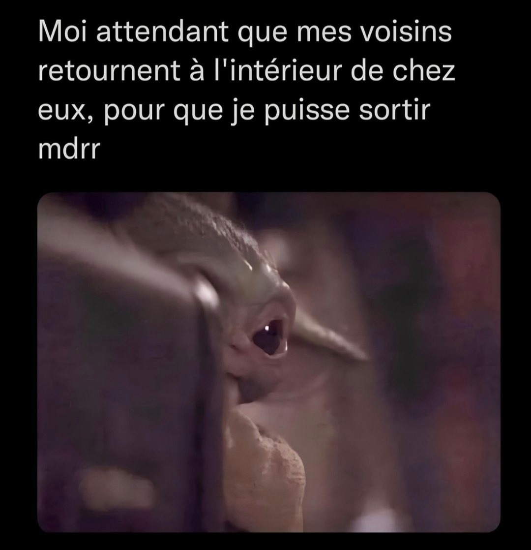 Moi qui attends que mes voisins rentrent pour sortir tranquille - meme