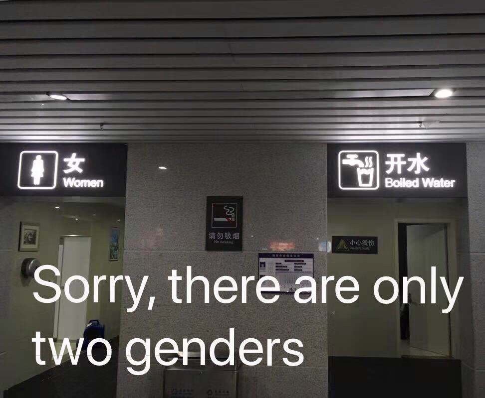 2 genders - meme