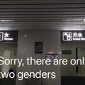 2 genders