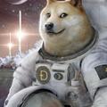 Intergalactic Dogecoin