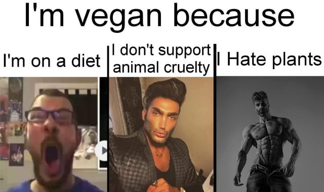 I'm vegan because - meme