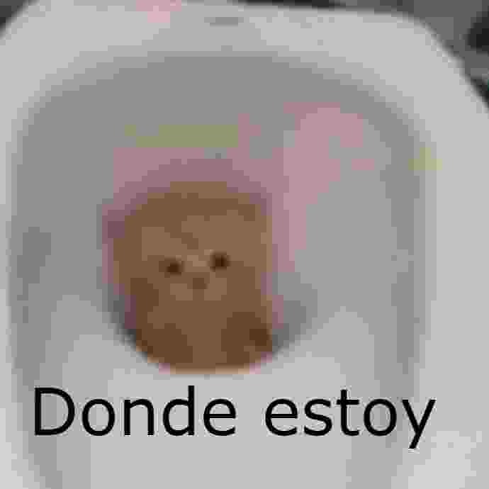 Top Memes De Skibidi Toilets En Español Memedroid