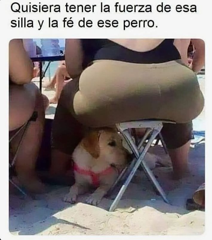 Quiero la fuerza de esa silla y la fe de ese perro - meme