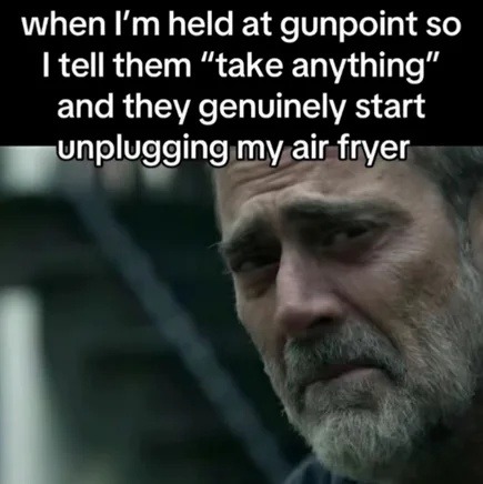 they really unplugged my air fryer during the robbery - meme