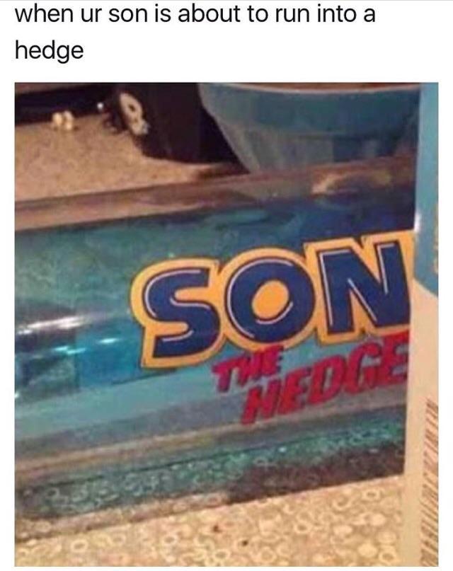 When your son is about to run into a hedge - meme