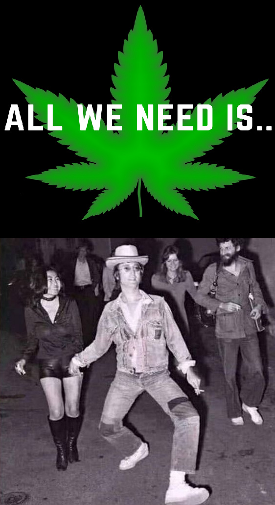 Weed is all we need - meme