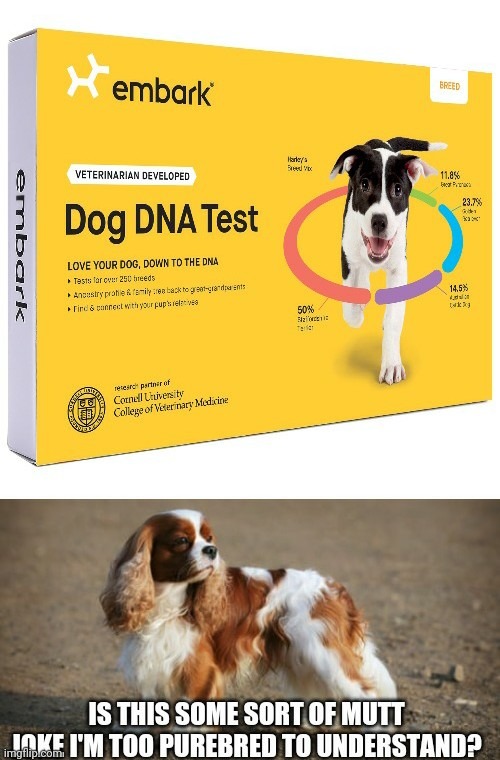 Dog DNA - meme