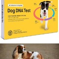 Dog DNA