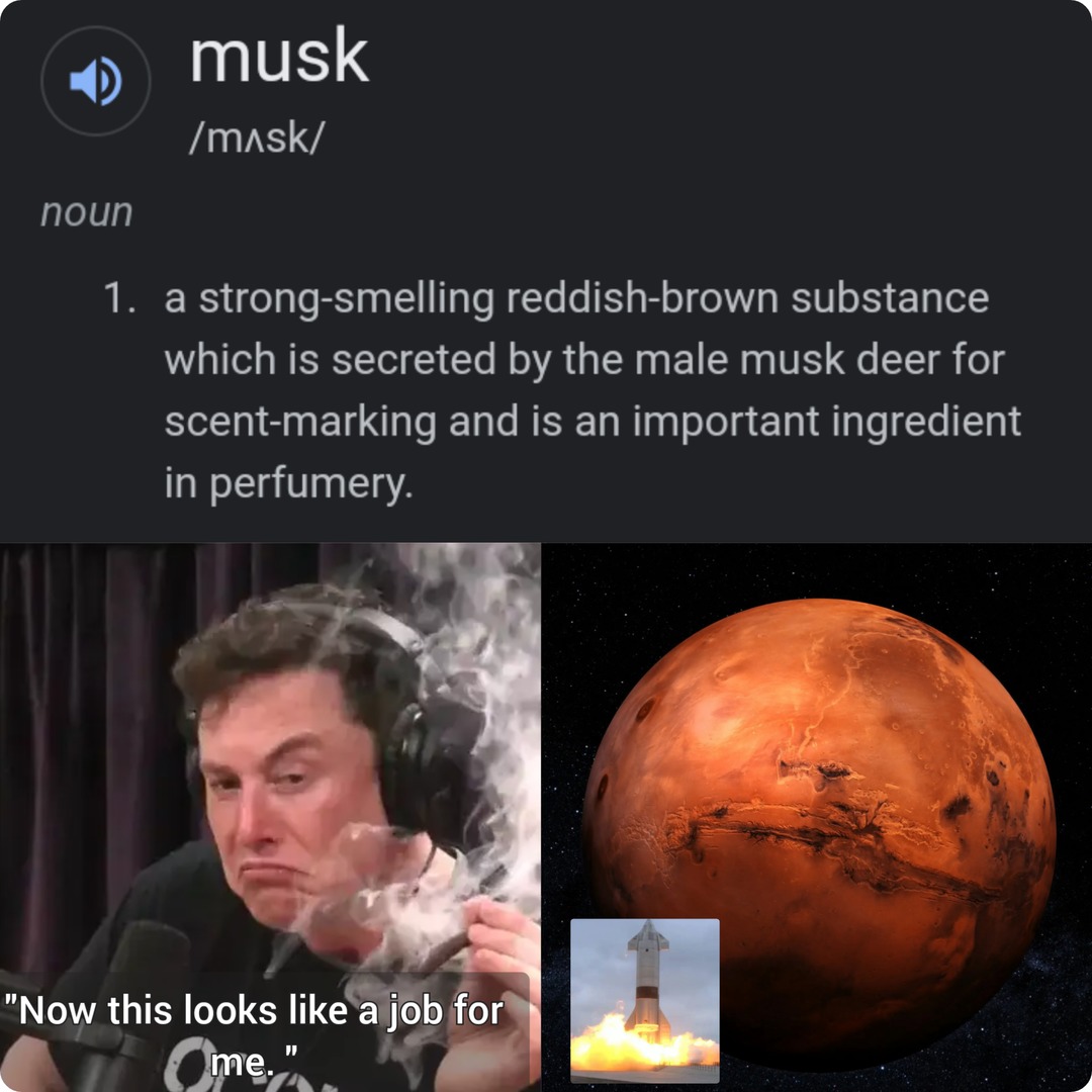 Musk for president of Mars maybe? - meme