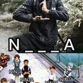 Es ninja