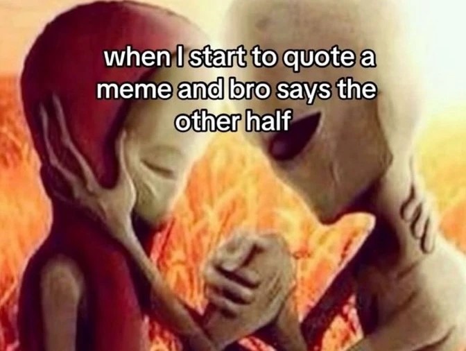 Meme bros