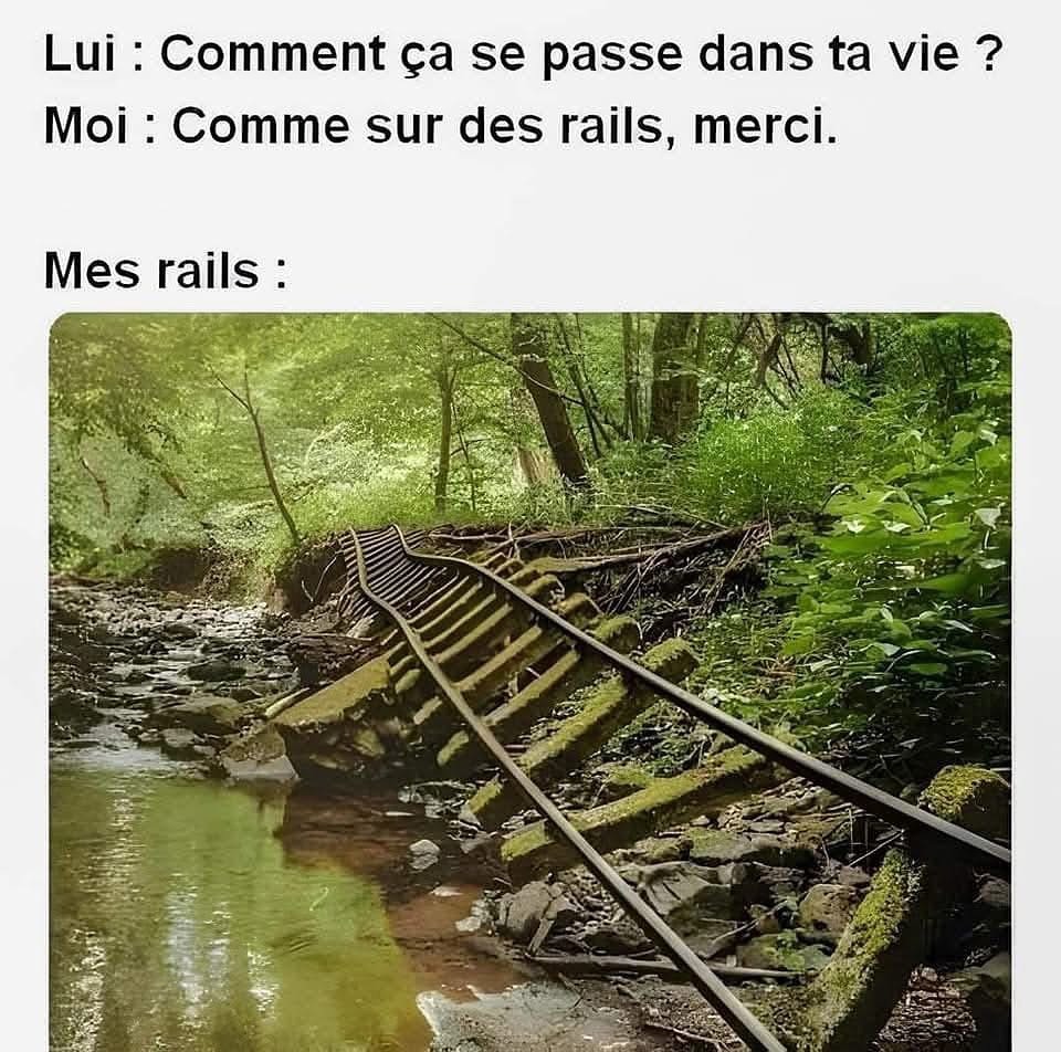 Moi : ma vie roule comme sur des rails. Les rails : - meme