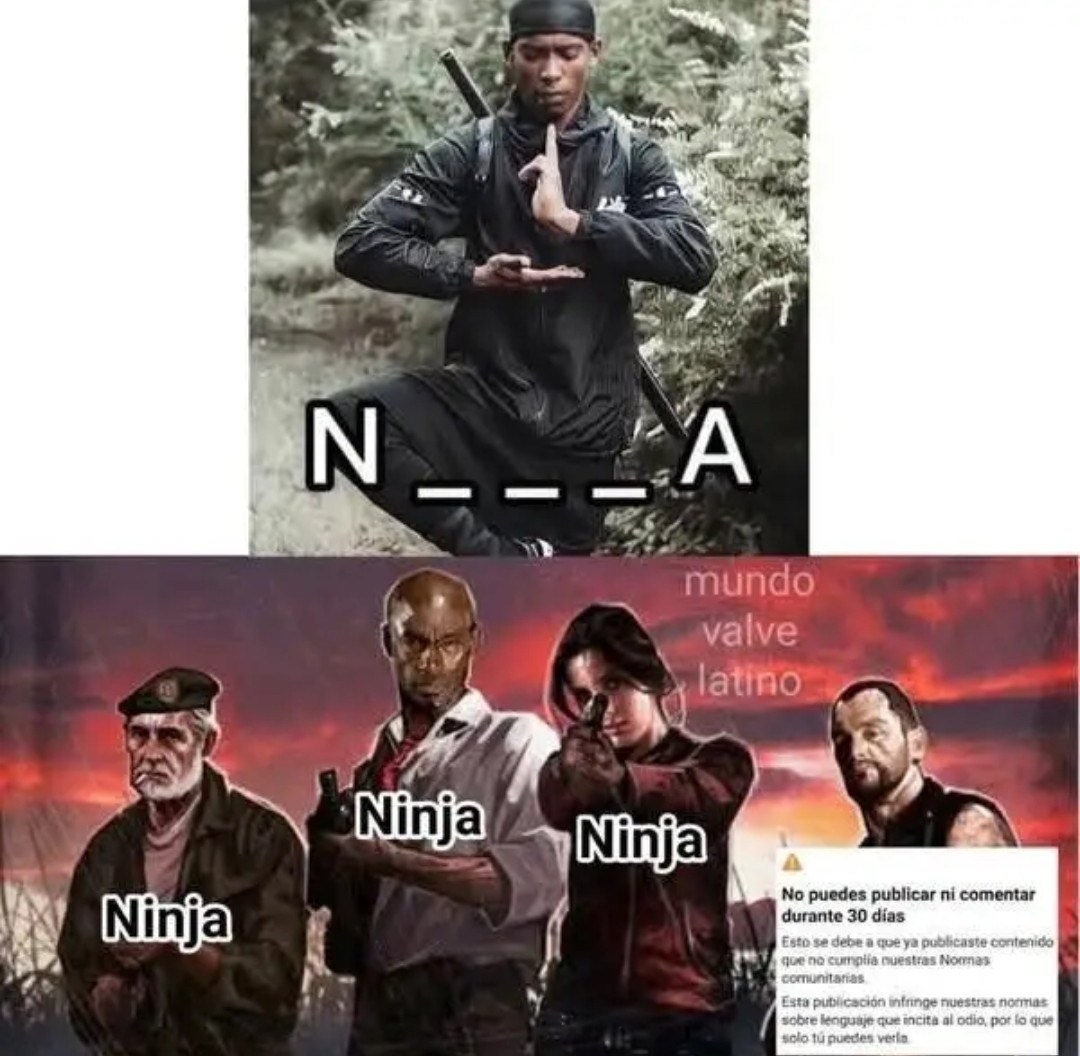 Ninja - meme