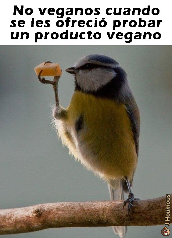Sospecha - meme
