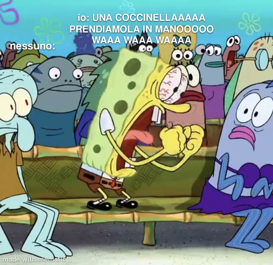 POV: da piccoli quando vedevamo una coccinella - meme