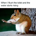 Panic in the toilet