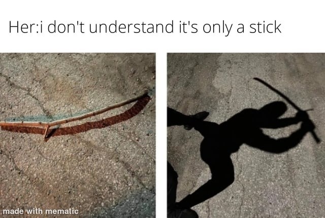 It's not just a stick - meme