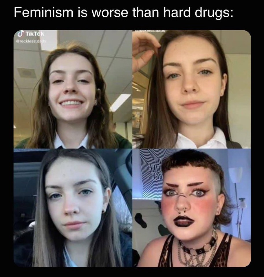Feminism is a disease - meme