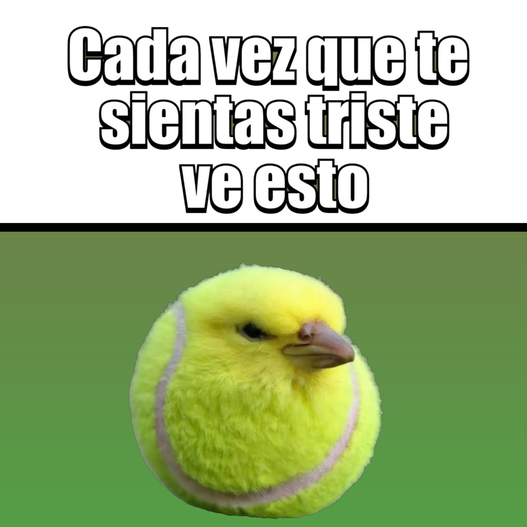 Cada vez que te sientas triste ve esto - meme