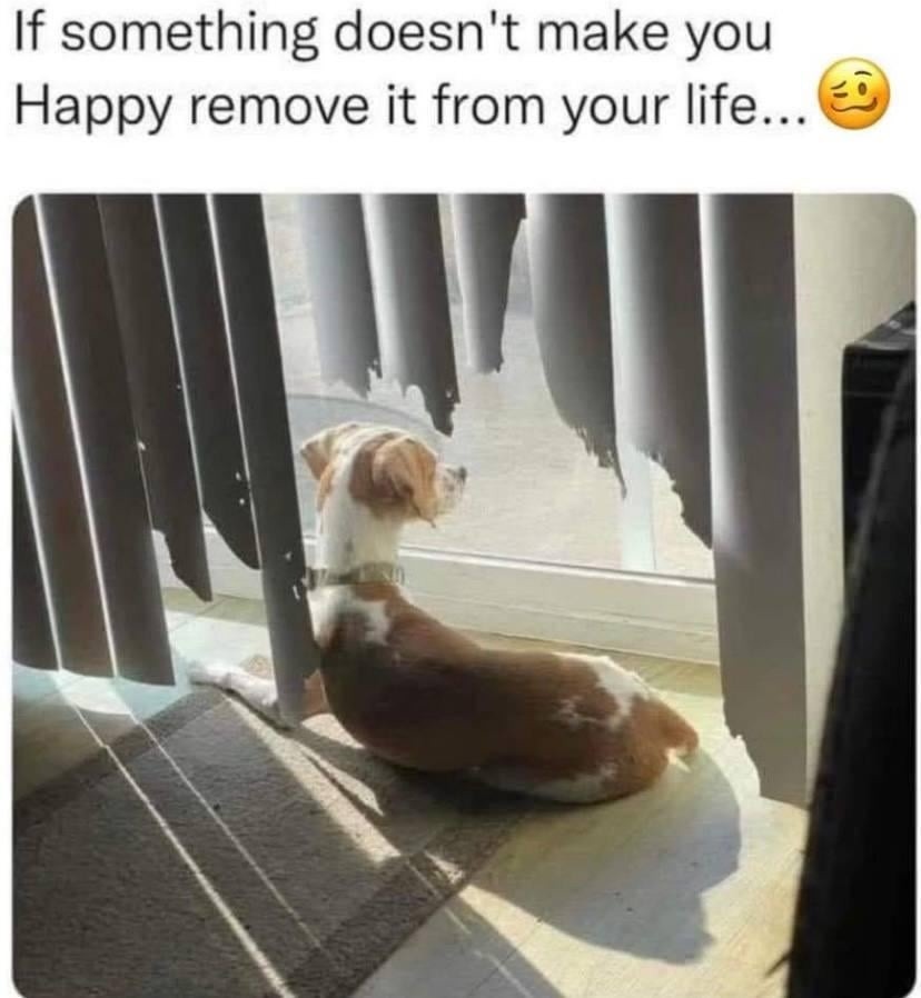 If something doesnt make you happy, remove it. Except for Monday. Monday stays. - meme