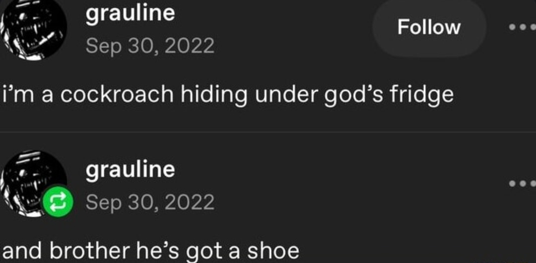 cockroach hiding saga - meme