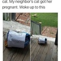 nice neighbor