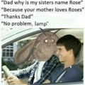 MOTH MEME IS OUTDATED