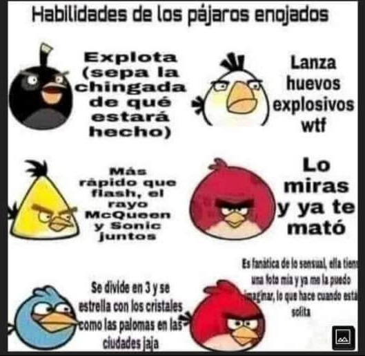 Angry birds - meme