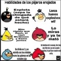 Angry birds