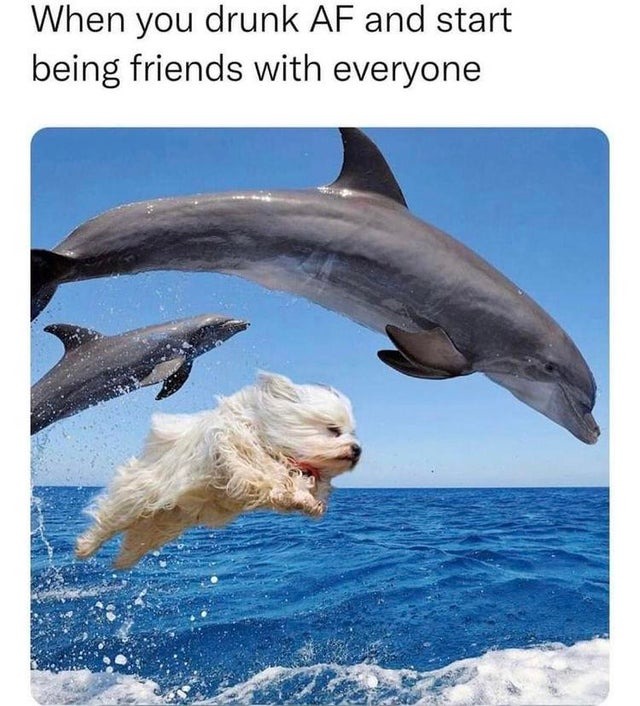 when you are drunk and start being friends with everyone - meme