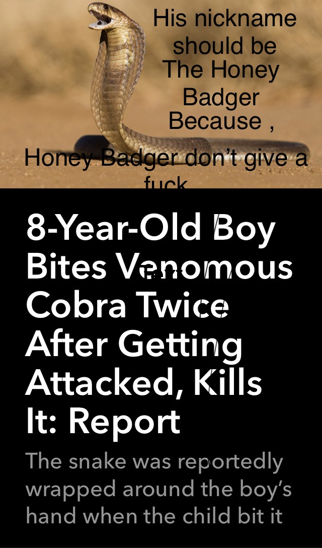 Honey Badger don’t  care. honey Badger just smacks the shit out of it - meme