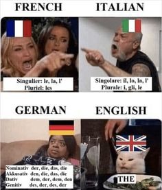 La guerre des langues - meme