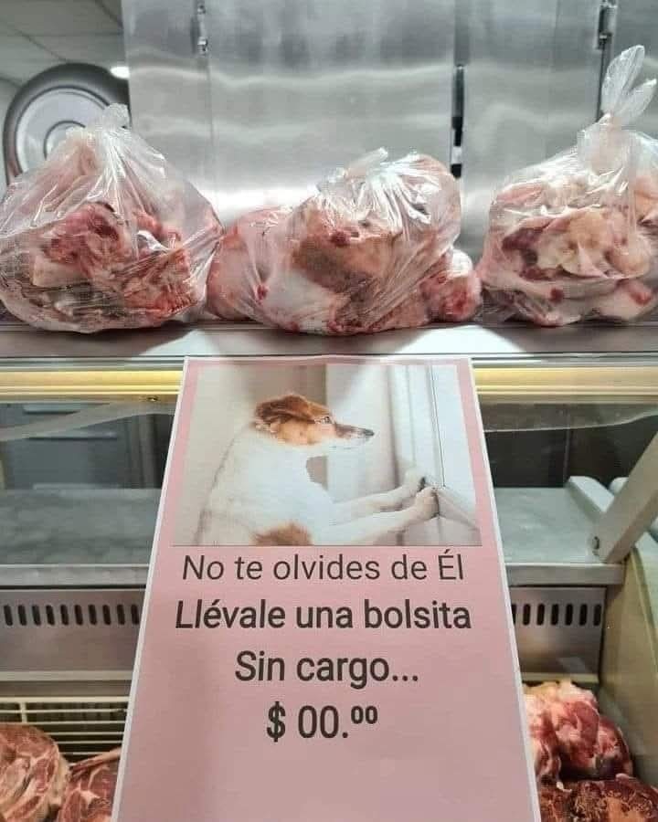 Más empatía como esa. :socute: - meme