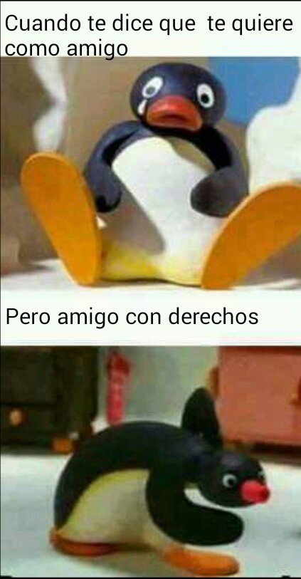 Ste Pingu - meme