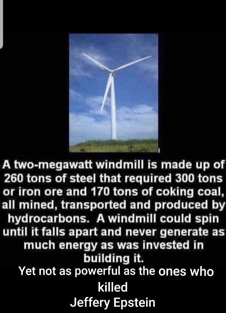 dongs in a windmill - meme