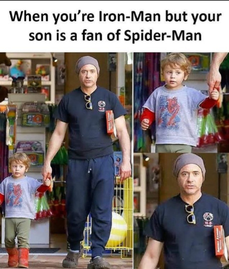 When you are Iron-Man but your son prefers Spider-Man - meme
